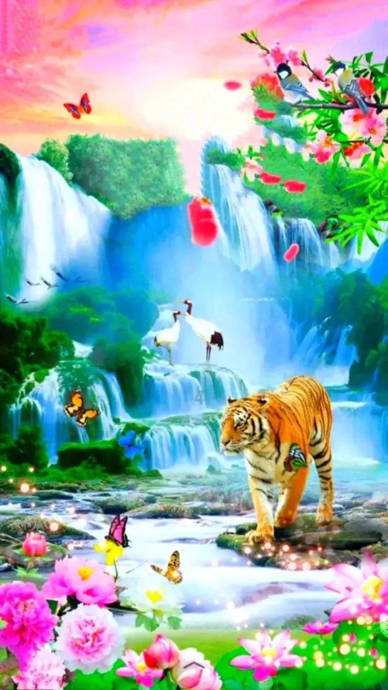 一年前送给父母一只小蓝猫，再次见到它，女子笑的停不下来！