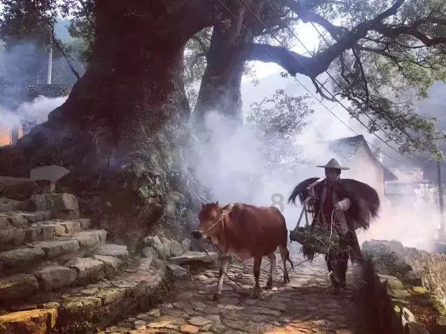 银河奥特曼遗址记