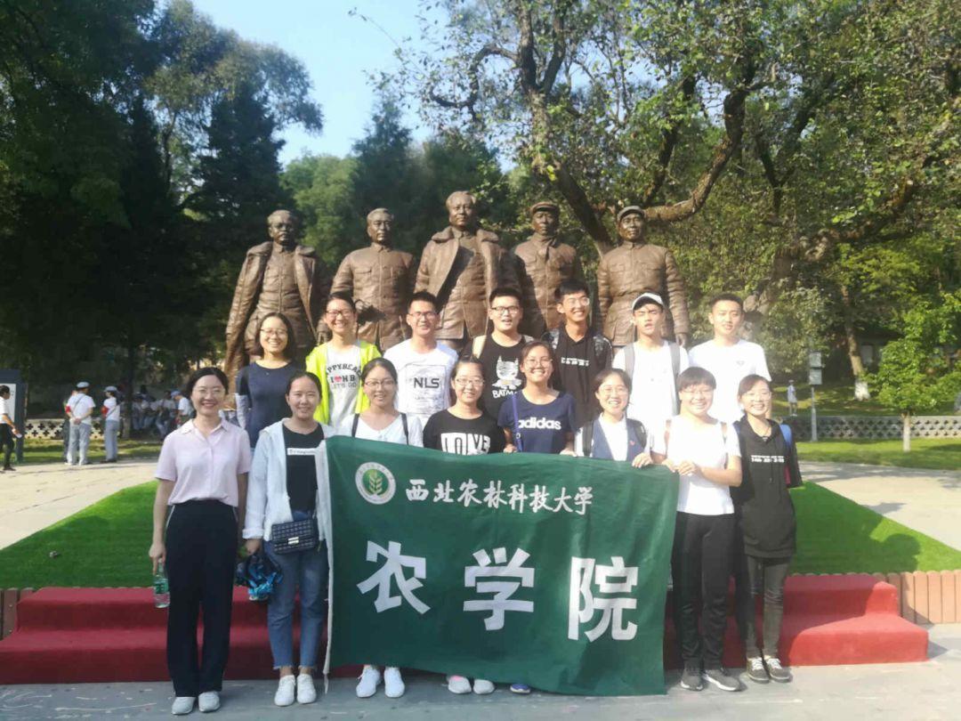 学习强国的年度积分怎么计算的