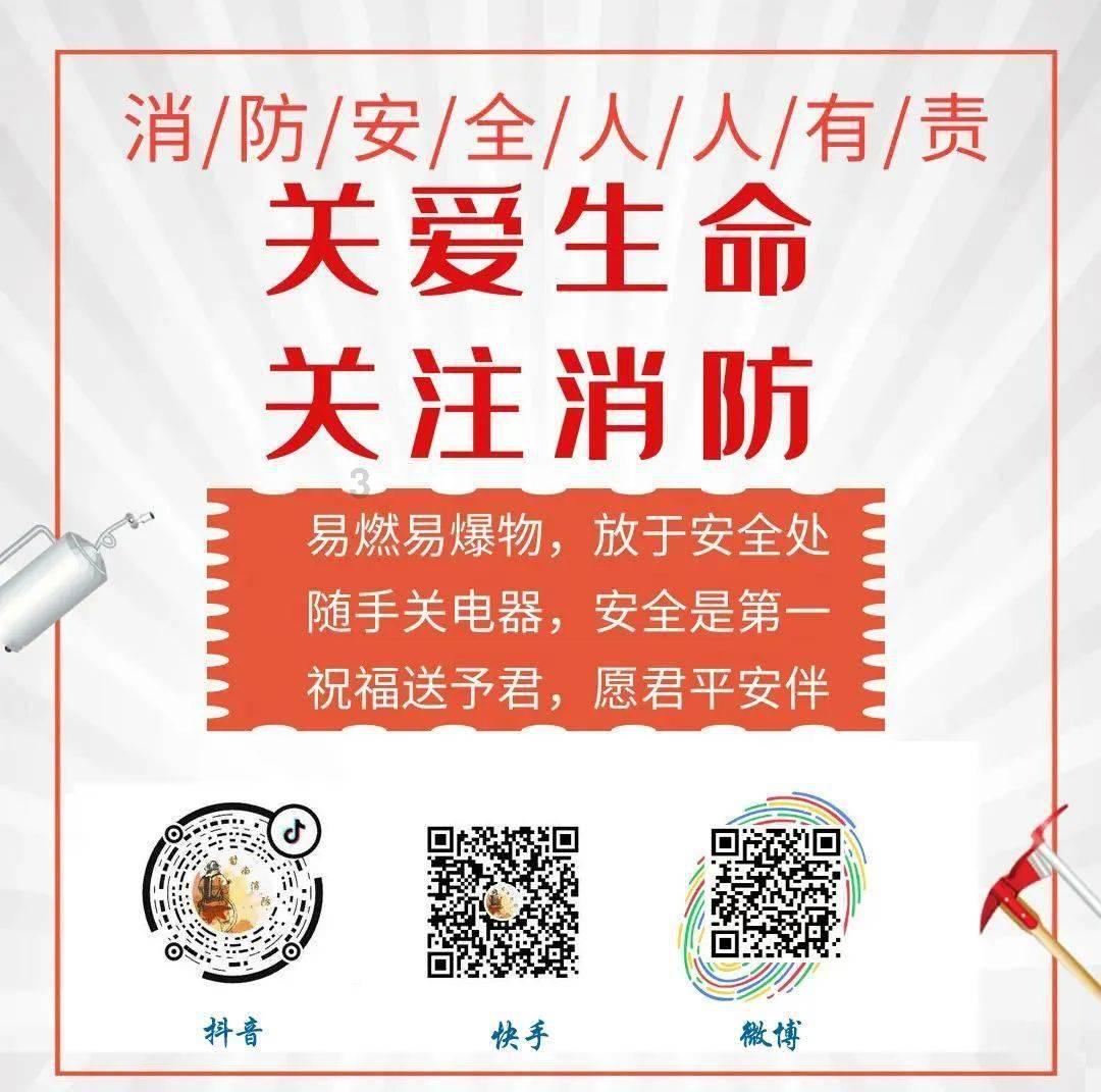 武斗纹章2初篇