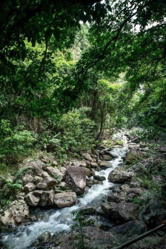 秘密基地找不同